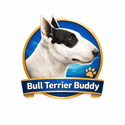 Bull Terrier Buddy