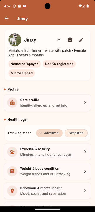 Buddy Brain insights