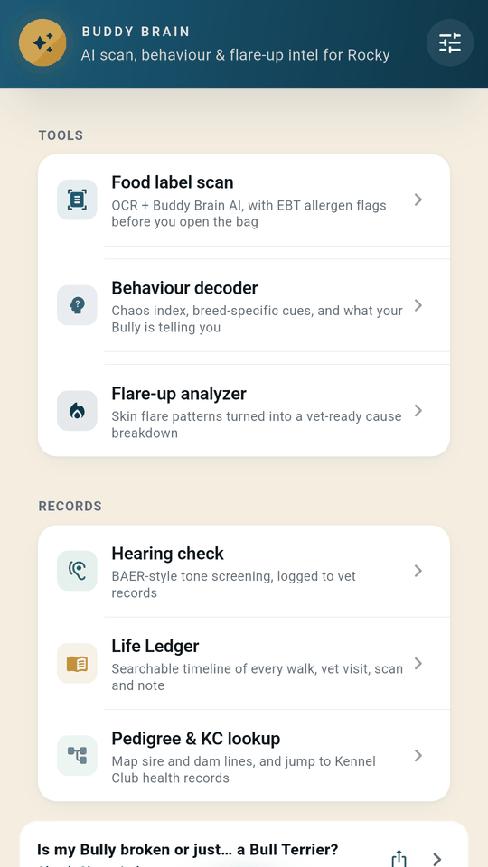 Buddy Brain tools: food label scan, behaviour decoder, flare-up analyser, hearing check and the Life Ledger timeline