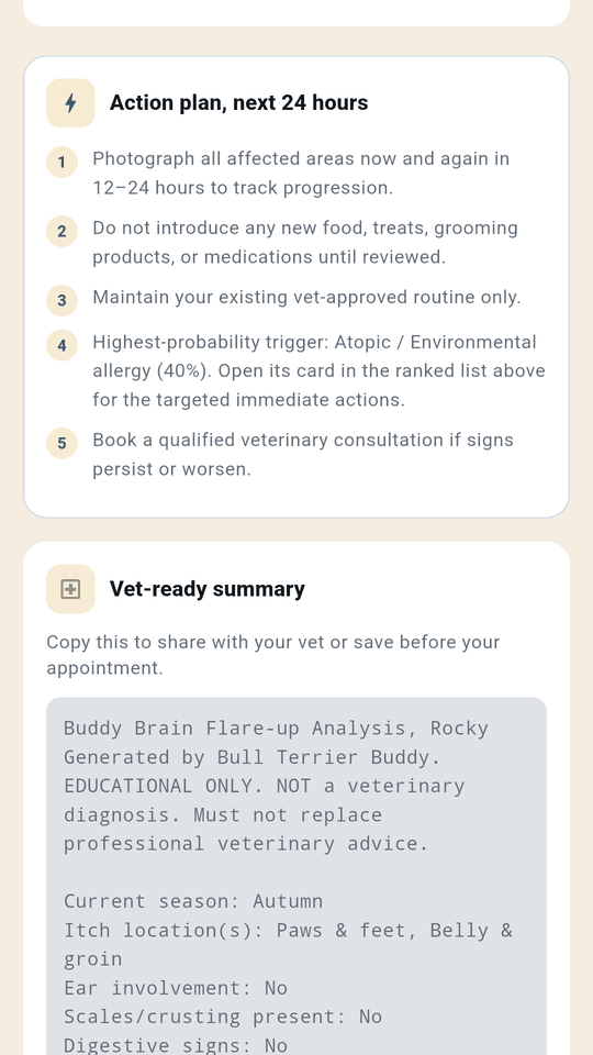 Buddy Brain flare-up results: an action plan for the next 24 hours and a summary to share with your vet