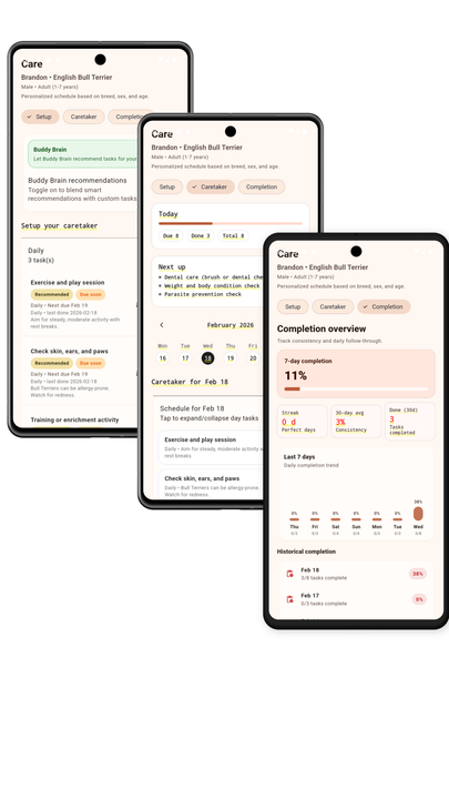 Personalized care for your Bull Terrier