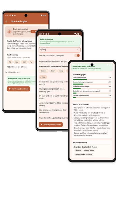 Buddy Brain insights for Bull Terrier care