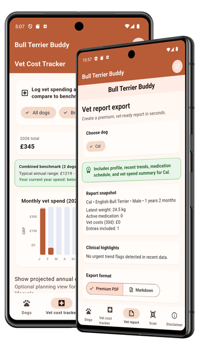 Vet cost tracking and report export for Bull Terriers